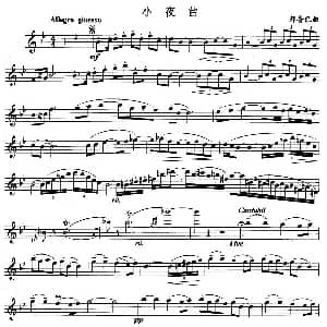 长笛曲谱 | 小夜曲 邦鲁巴作曲版 邦鲁巴