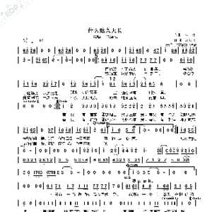 什么天长地久_歌曲简谱_词曲:作词,张海风 作曲 六 哲