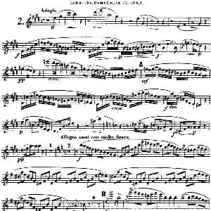 长笛曲谱 | 库劳长笛二重奏练习三段OP.102 Flute 2 NO.2 Kuhlau 库劳