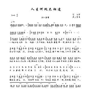 人生何处不相逢_歌曲简谱_词曲:简宁 罗大佑