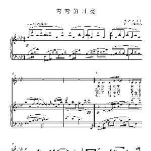 弯弯的月亮_歌曲简谱_词曲:李海鹰 李海鹰