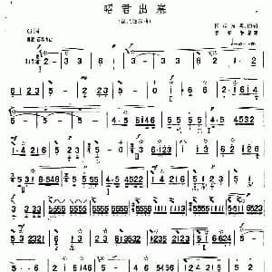 琵琶谱 | 昭君出塞 曹安和 记谱