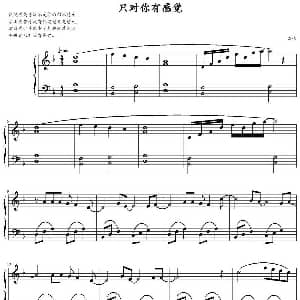 只对你有感觉 钢琴谱
