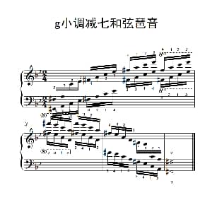 第七级16.g小调减七和弦琶音 钢琴谱