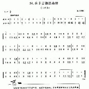 口琴谱 | 在卡吉德洛森林 波兰民歌 二重奏