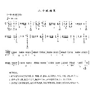 琵琶谱 | 小酸梅果