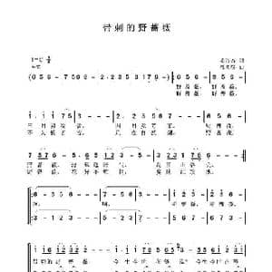 带刺的野蔷薇_歌曲简谱_词曲:毛诗奇 聂思聪