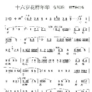 锡剧 十六岁花样年华 夜明珠 唱段 程雪梅