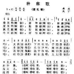 种麻歌_民歌简谱