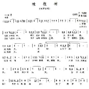 橄榄树_通俗唱法乐谱_词曲:三毛 李泰祥