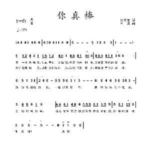 你真棒_歌谱投稿_词曲:张向彦 王凯