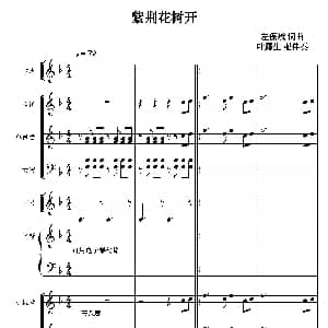 紫荆花树开 声乐及伴奏总谱 左保斌 叶露生