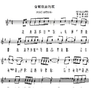 含苞欲放的花 阿尔巴尼亚 _外国歌谱_词曲:雷隆盛译词 钟立民配歌