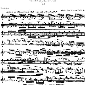 长笛曲谱 | 斯勒新老风格长笛练习重奏曲 第二部分 NO.35 Siegfried Thiele S. 斯勒