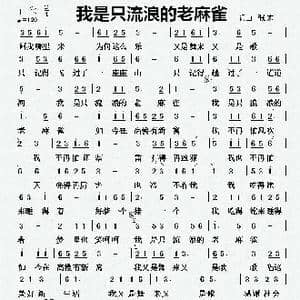 我是只流浪的老麻雀_歌曲简谱_词曲:张宏 张宏