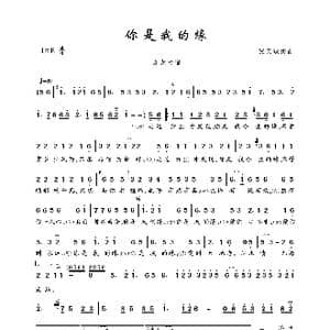 你是我的缘_歌曲简谱_词曲:张天赋 张天赋
