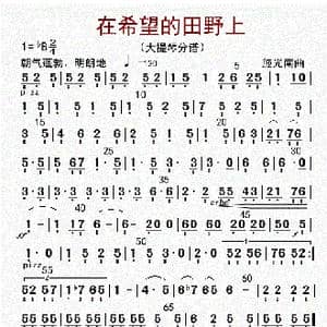 在希望的田野上_歌曲简谱_词曲: 李国林配器