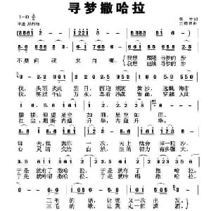 寻梦撒哈拉_通俗唱法乐谱_词曲:朱平 元德智