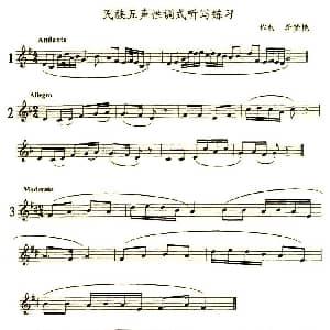 民族五声性调式听写练习 李梦艳