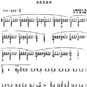 月光变奏曲 三弦 安德烈耶夫曲 谈龙建改编