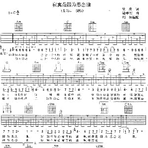 寂寞是因为思念谁 吉他谱 景冈山 沈庆 逯学军