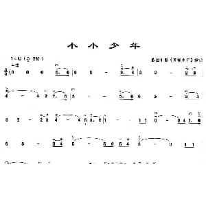 二胡谱 | 小小少年