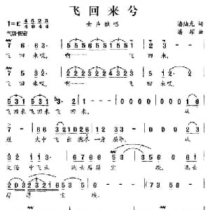 飞回来兮_美声唱法乐谱_词曲:潘陆光 潘耀