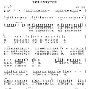 下辈子还你这辈子的伤_通俗唱法乐谱_词曲:秋枫 秋枫