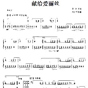 扬琴谱 | 献给爱丽丝 贝多芬曲 刘月宁改编