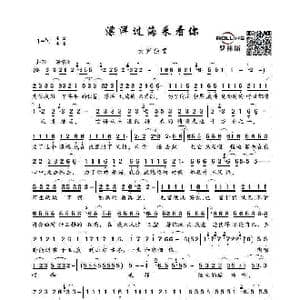 漂洋过海来看你_歌谱投稿_词曲:李宗盛 李宗盛