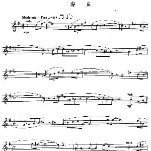 长笛曲谱 | 海岸