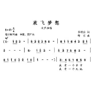 放飞梦想_通俗唱法乐谱_词曲:李幼容 舒京