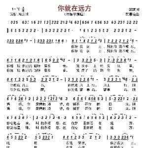 你就在远方_歌曲简谱_词曲:武斌 范景治