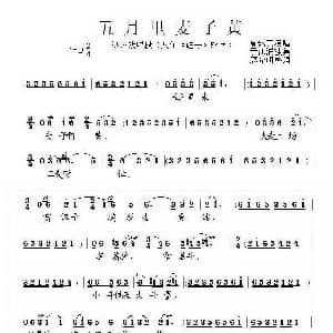 泗州戏 五月里麦子黄 八句 娃子 唱段 夏然英