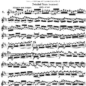 小提琴谱 | 马扎斯小提琴练习曲 Op.36 第一册 特殊练习曲 5