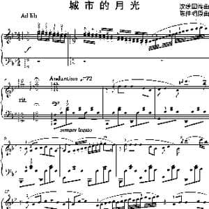 城市的月光_歌曲简谱_词曲: 沈建国改编