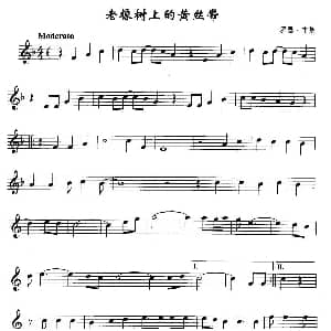 萨克斯谱 | 老橡树上的黄丝带