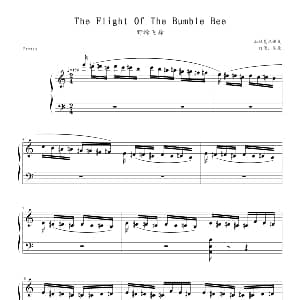 野蜂飞舞 钢琴谱 拉赫马尼若夫曲 戈原制谱版