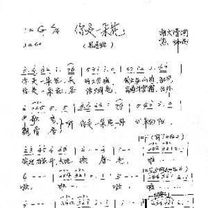 你是一朵花_歌谱投稿_词曲:胡文清 熊纬