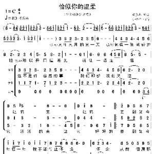 恰似你的温柔_歌曲简谱_词曲:梁弘志 梁弘志