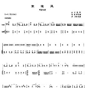 东北风 高音板胡 扬琴伴奏谱