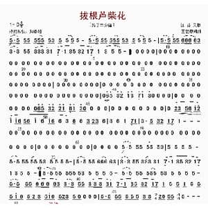 拔根芦柴花_歌曲简谱_词曲: 王爱康编曲