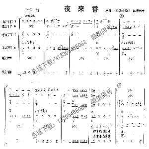 夜来香_歌曲简谱