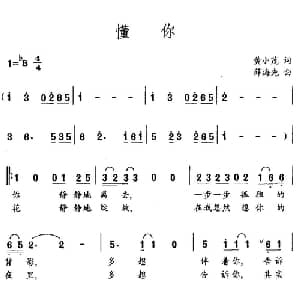 懂你_通俗唱法乐谱_词曲:黄小茂 薛海先