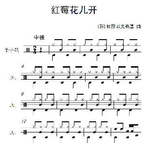 苏 红莓花儿开 架子鼓谱 杜那耶夫斯基