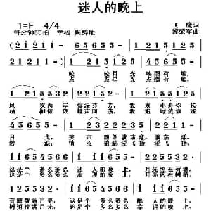 迷人的晚上_通俗唱法乐谱_词曲:飞鹰 黎荣军