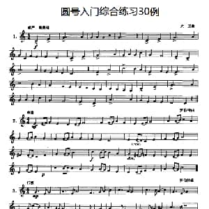 圆号入门综合练习30例 1 11