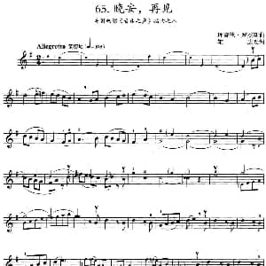 小提琴谱 | 晚安 再见 美国电影 音乐之声 插曲之八 理查德 罗杰斯曲 雄达改编