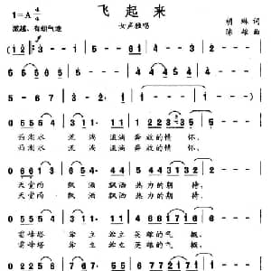 飞起来_通俗唱法乐谱_词曲:胡琳 陈雄