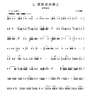 回娘家的路上 板胡曲集第四级